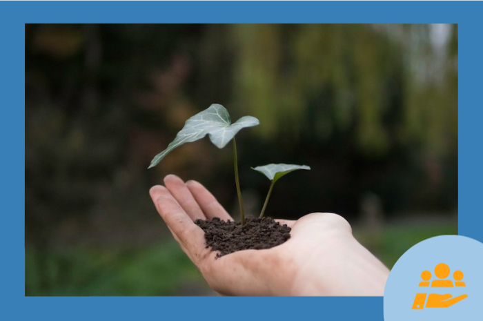 Tout savoir sur le Programme Novoclimat