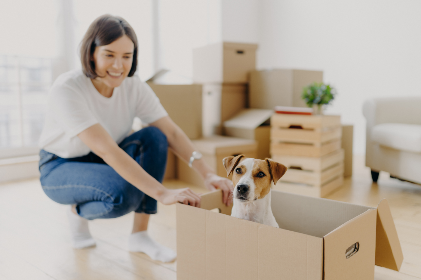 Comment faciliter le déménagement de vos animaux de compagnie?