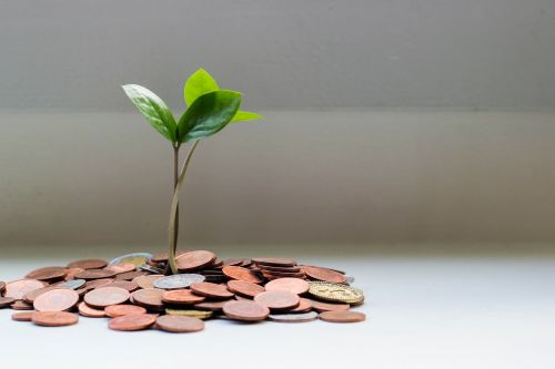 Des pièces de monnaies issues des impôts de la vente d'une maison