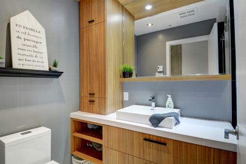 Distinction condominiums bathroom