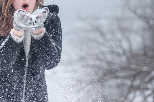 Prévenir les dommages de l'hiver, c'est possible !