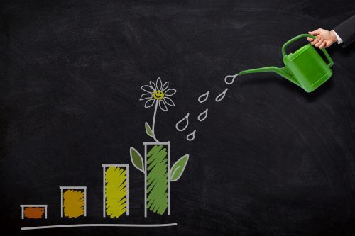 Profits growing schema