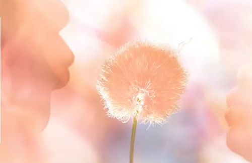 Peach fuzz Pantone color of the year 2024