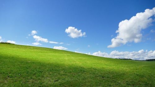 Green vacant land under a deep blue sky