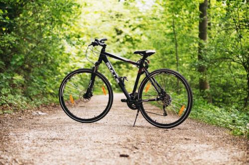 Vélo stationné sur une piste cyclable en foret